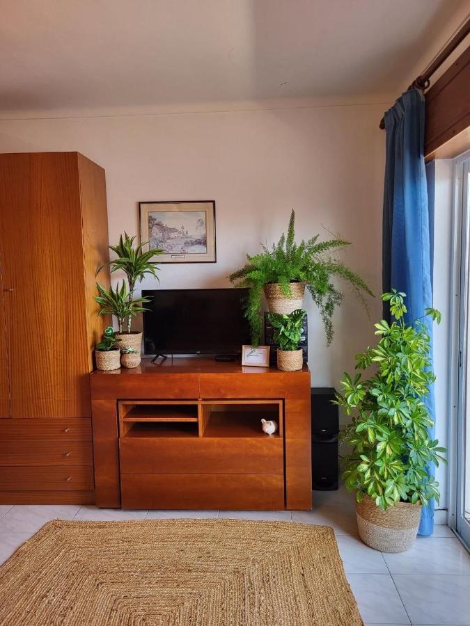 Studio Apartment With Sea View & Fibre Internet 阿尔布费拉 外观 照片